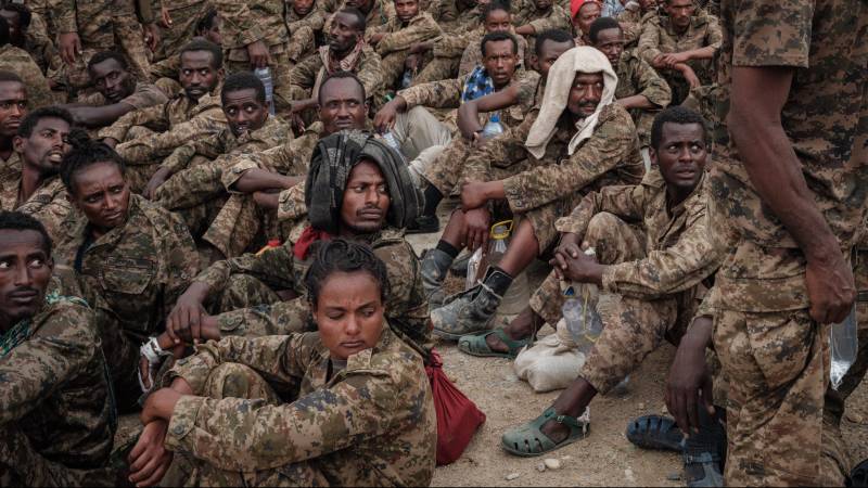 A call to solve Ethiopia’s war: ‘The state cannot afford more destruction’