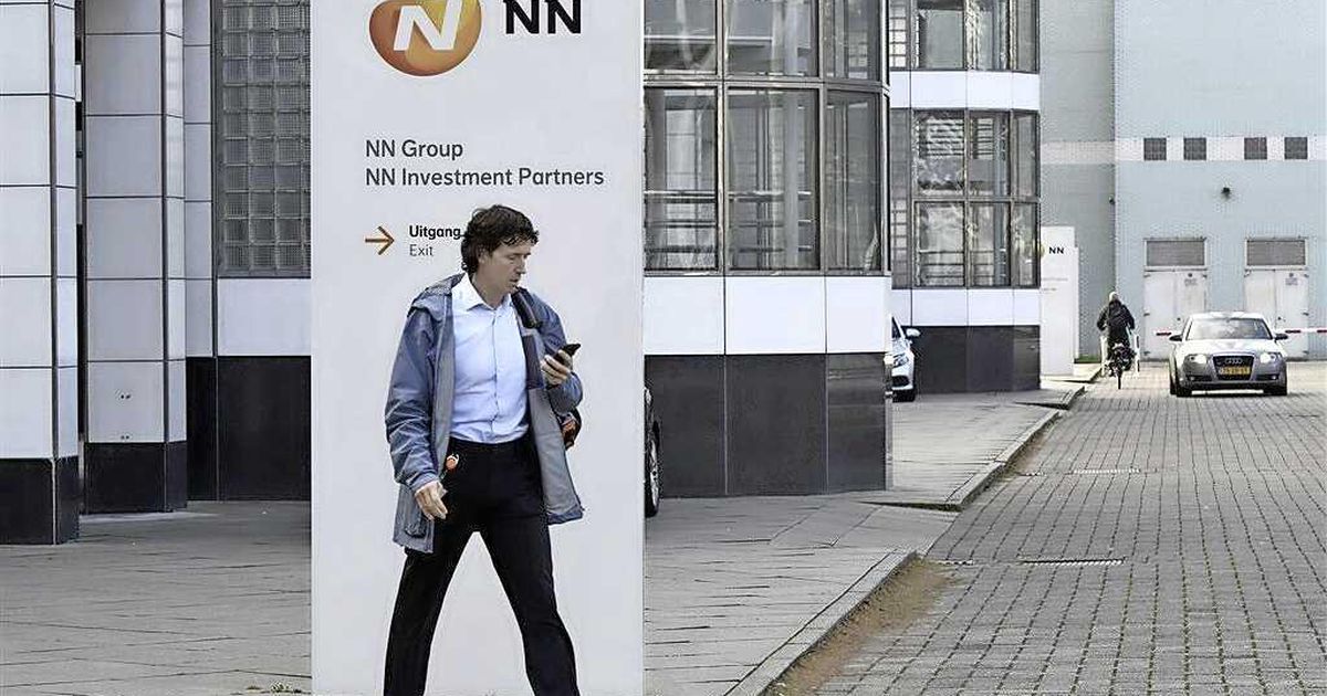 Significant increase in NN profits, customer takes additional insurance |  Financial
