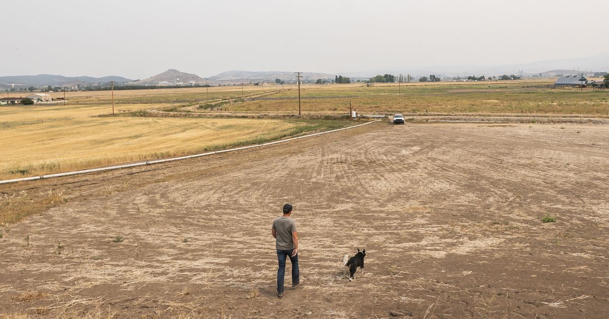 The west coast of the United States is suffering from a historic drought