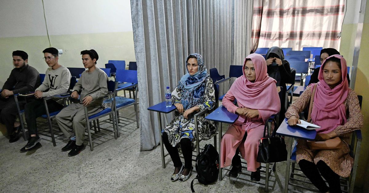 Afghan students separated from men who wear curtains at Kabul University |  Abroad