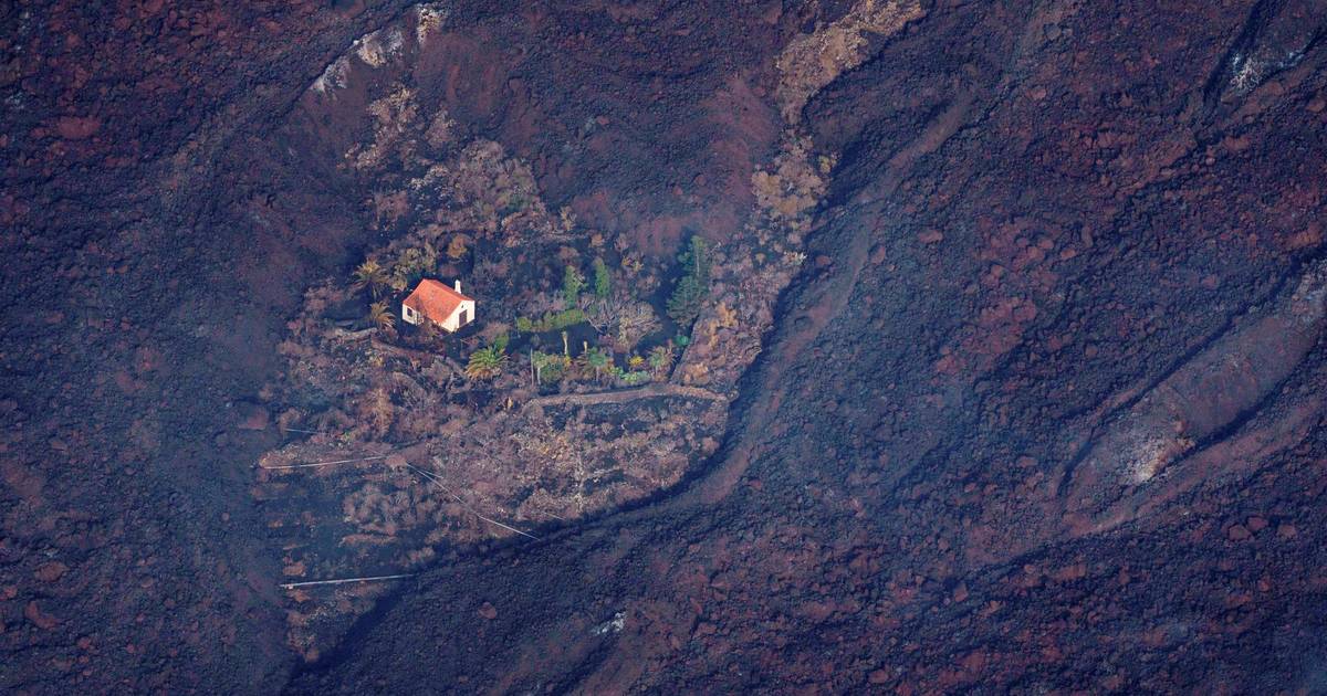 Dutch 'Wonderhuisje' that survived La Palma volcano spread all over the world |  Instagram