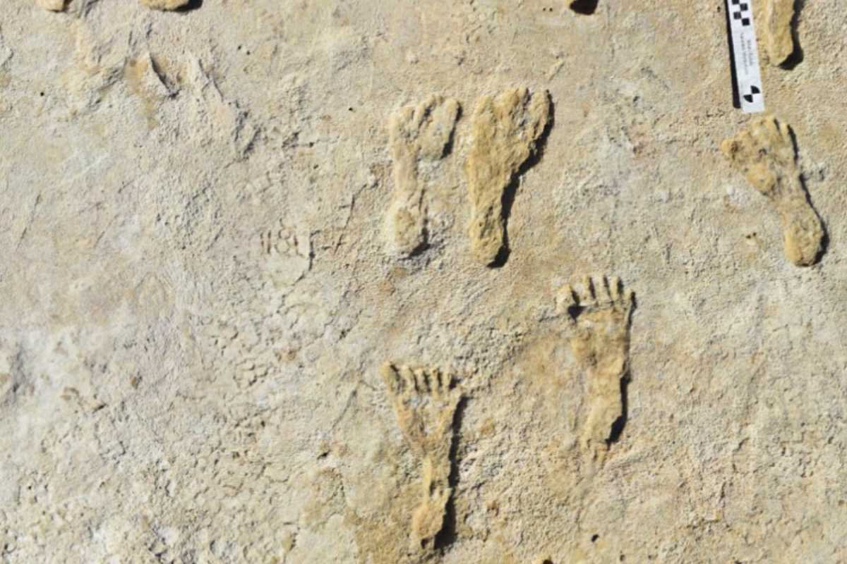 Footprints prove that humans walked across America 23,000 years ago