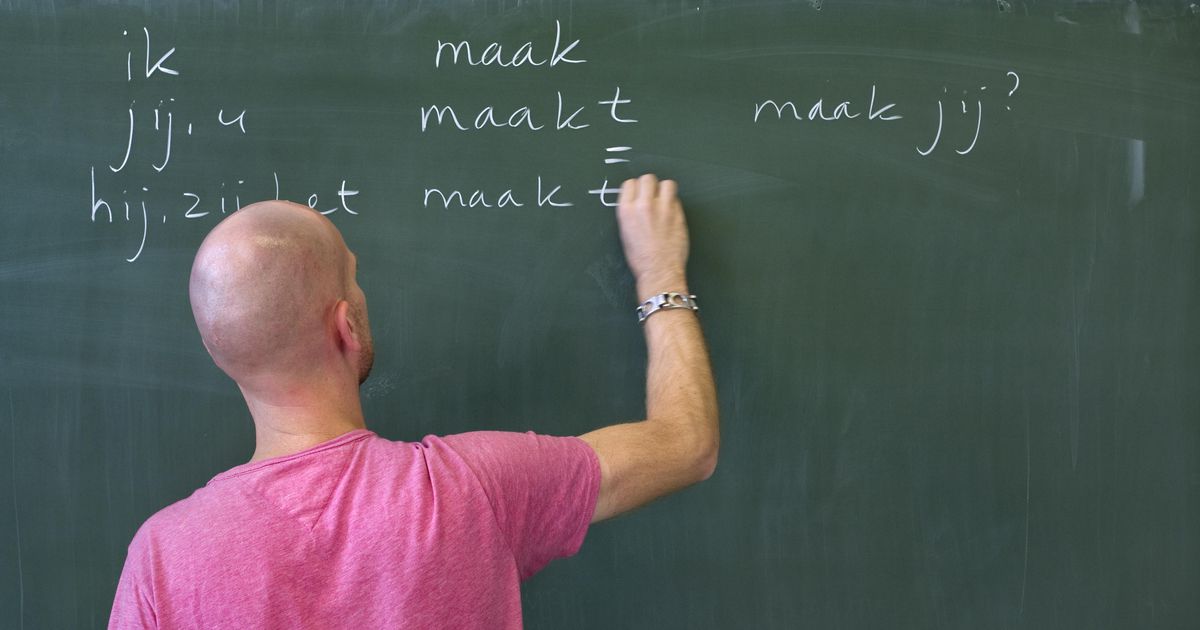 Research: Many Dutch people think they don't know an educated person |  interior