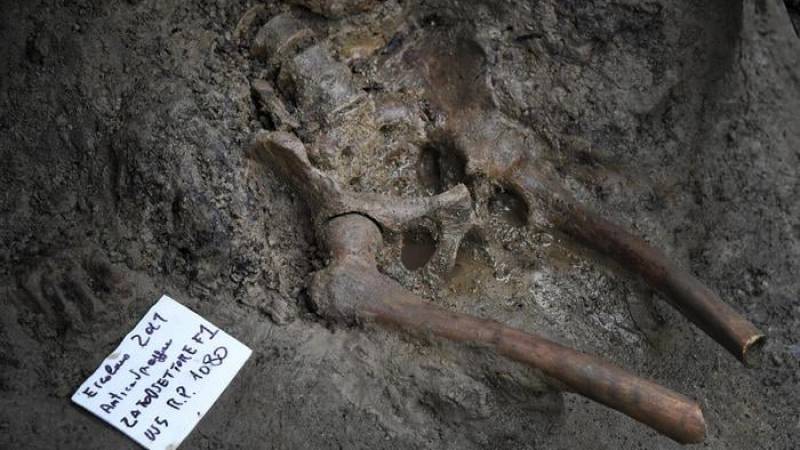 Archaeologists find skeleton of Vesuvius victim again after 25 years