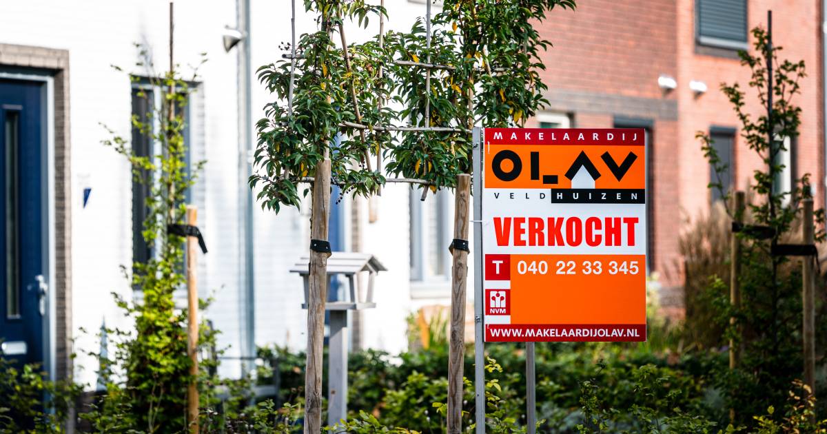 A house in the Netherlands became 313 euros a day more expensive last quarter |  living
