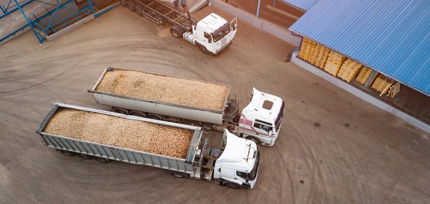 Driver shortage problem for American farmers - potatoes inside