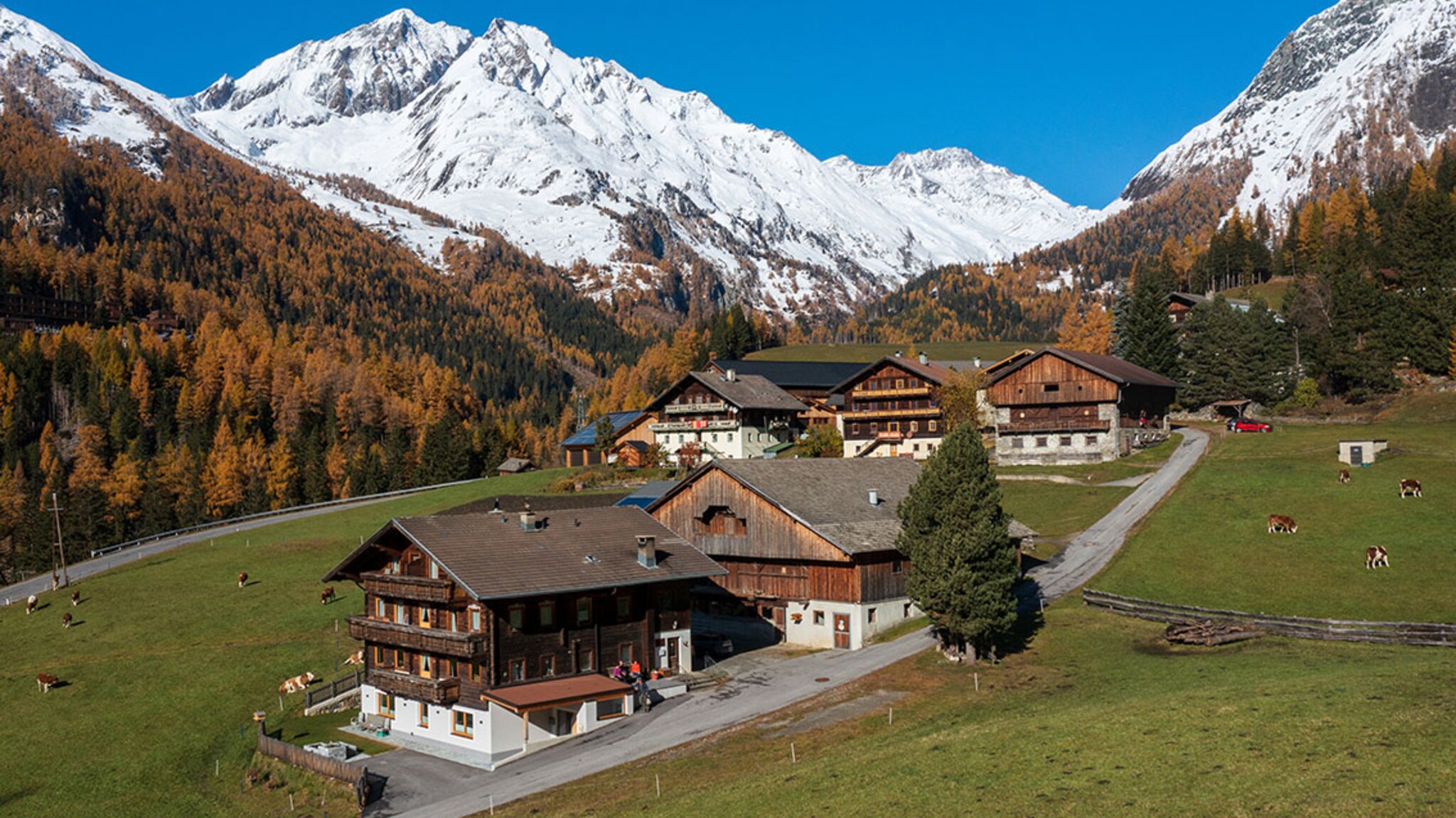 There are no winter sports in Austria for the unvaccinated