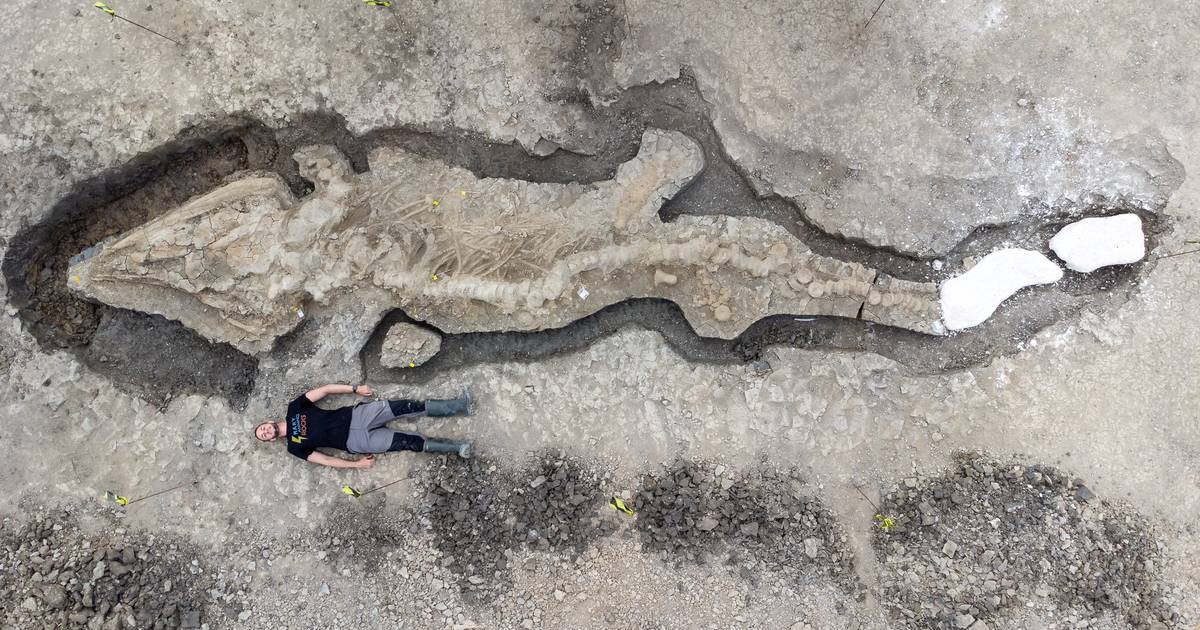 Giant prehistoric sea monster fossil found in Britain |  Instagram