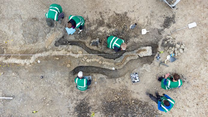 Paleontologists excavate the fossil.