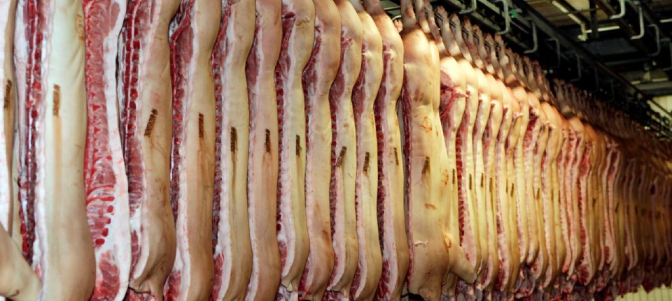 India opens market for US pork