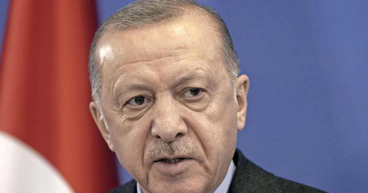 President Erdogan reports the possibility of agreements between Moscow and Kiev |  Abroad