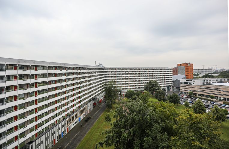 Ganzenhoefflat in Bijlmer.  Eva Beliver Statue