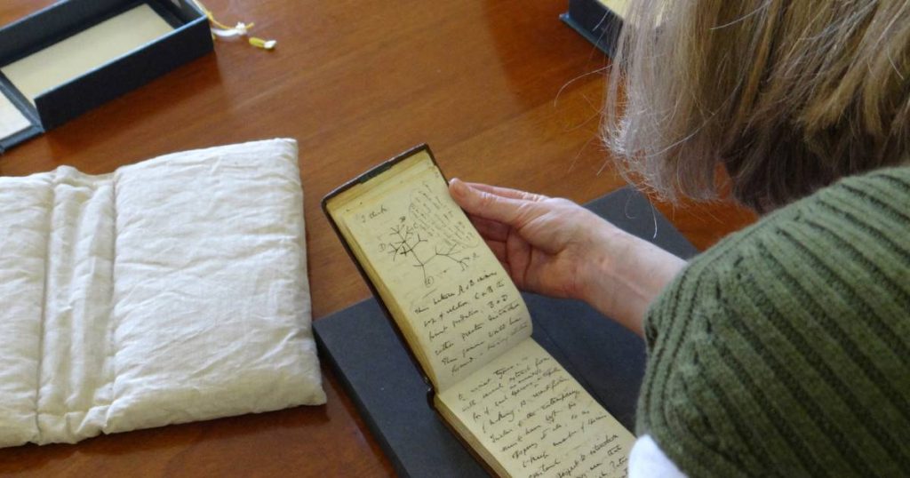 Stolen Darwin's notebooks return to library after 20 years: 'Happy Easter' |  to know