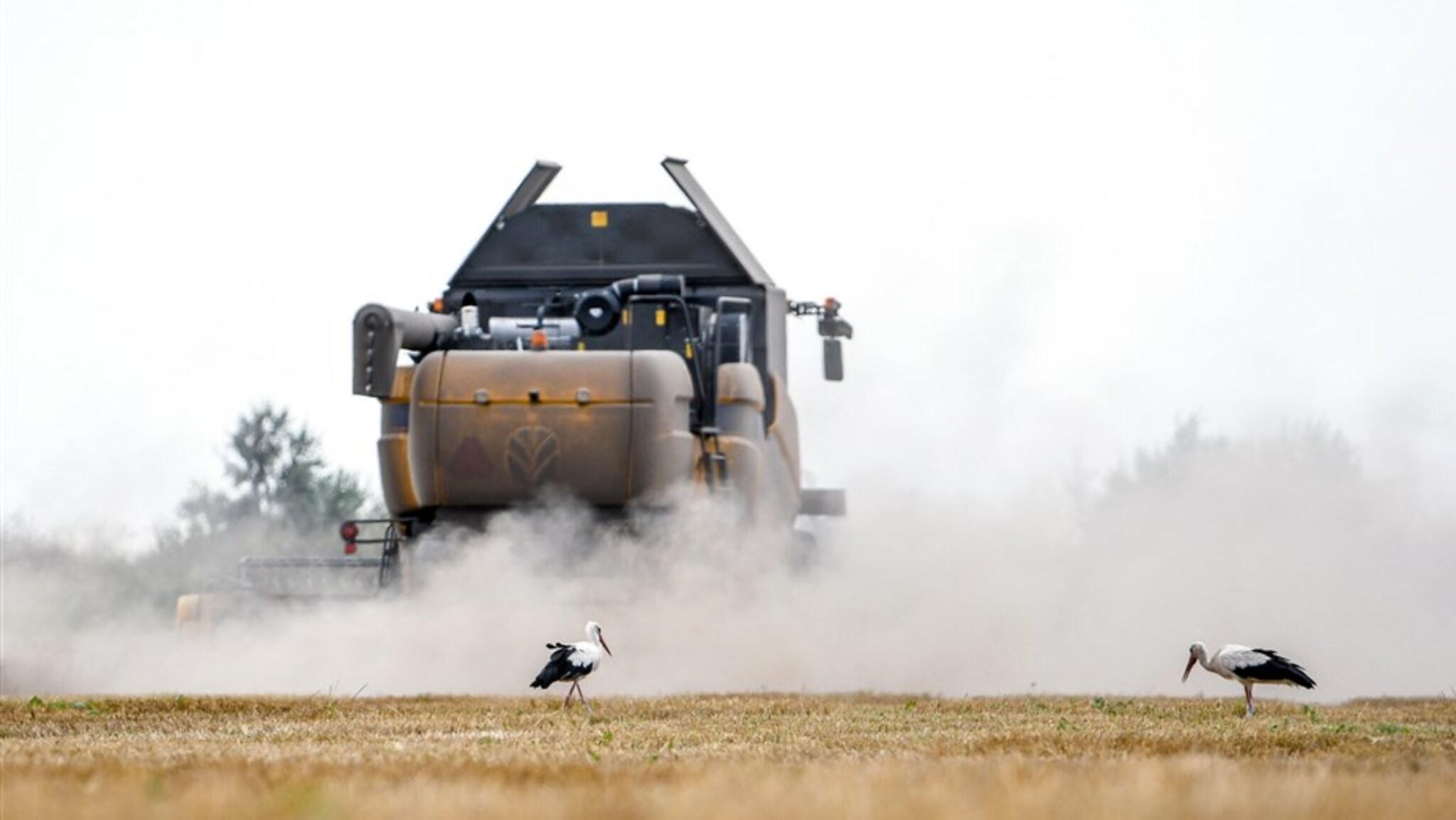 US Department of Agriculture: Grain harvest declines in Ukraine due to war