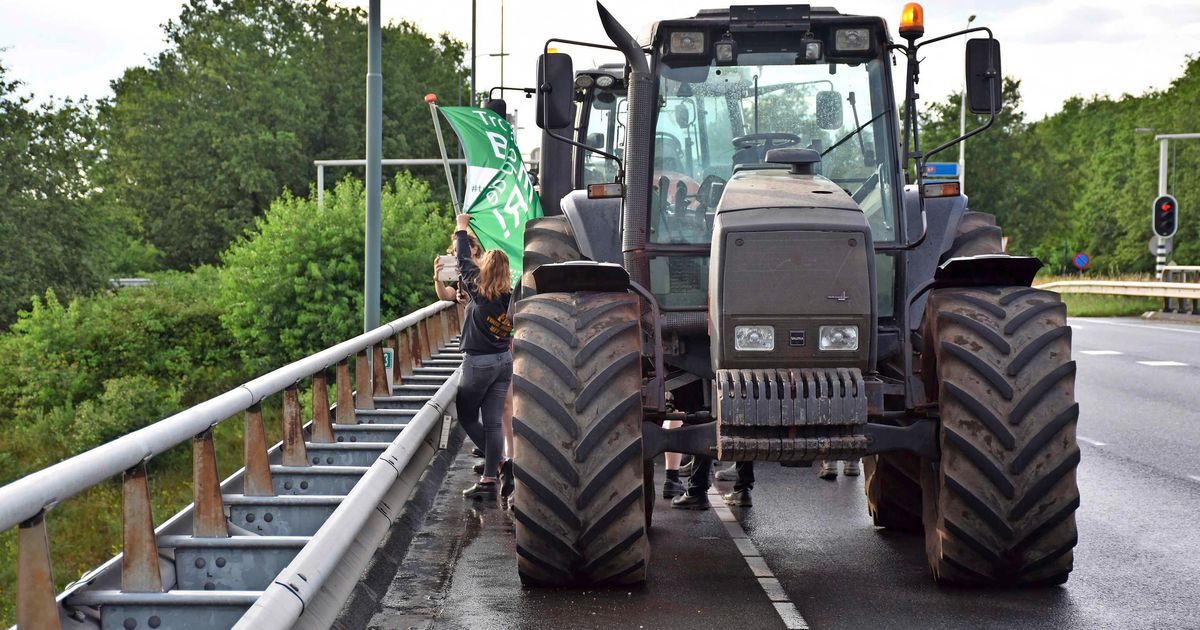 Monday 'wild farmers campaigns' in the Netherlands: 'You will burn in the afternoon' |  interior