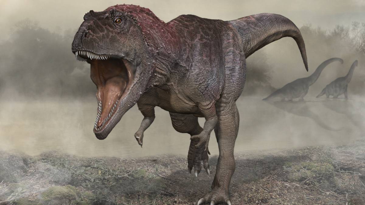 Why does the T. Rex have short arms?  A new dinosaur raises controversy again