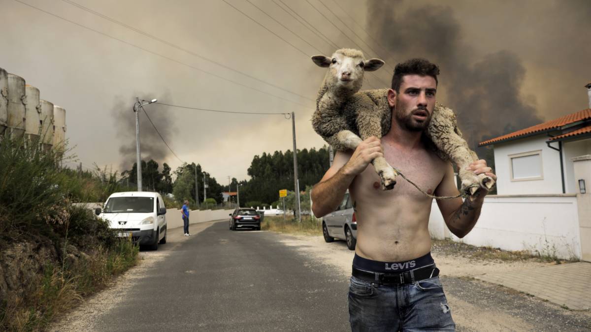 Heat and drought in southern Europe, resulting in forest fires