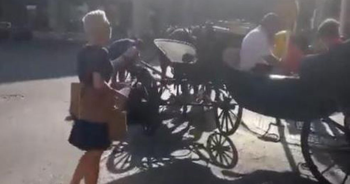 A horse collapses with a cart being pulled in the sweltering heat and the tourists are just sitting |  Abroad