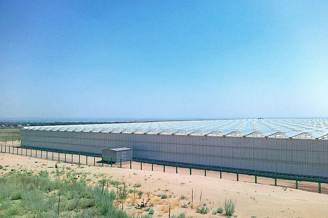 Dutch companies and the government have launched a greenhouse project in the U.S