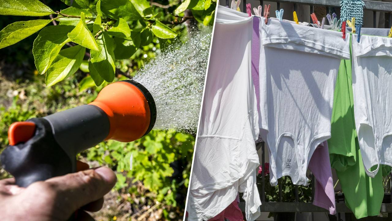 Laundry, insulation and gardening: how to keep your home cool with the heat