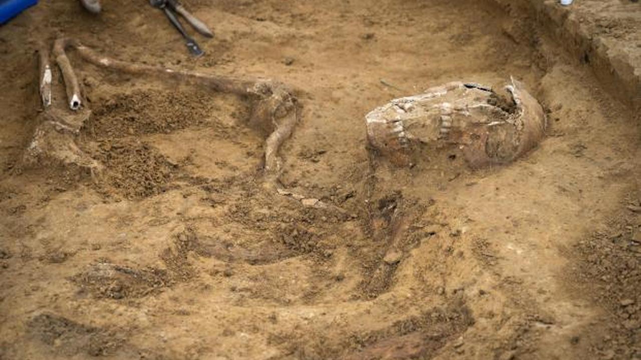 Rare good condition skeletons discovered of soldiers who fought in Waterloo |  Sciences