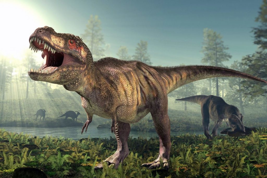 The great T. rex had small eyes