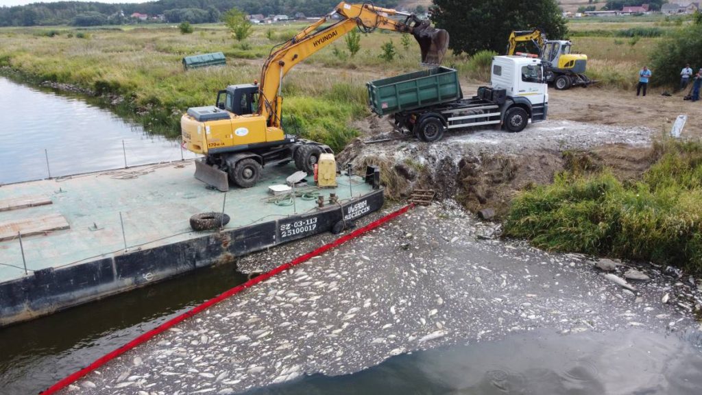 160,000 kilograms of dead fish in Polish rivers cause an environmental disaster that is still unknown