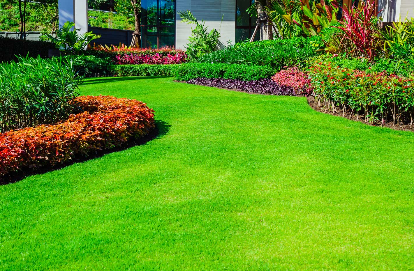 Best Texas Grass Farms For Commercial Landscaping