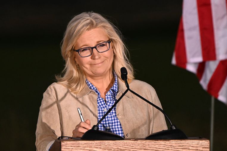 Republican Liz Cheney lost the Wyoming primary
