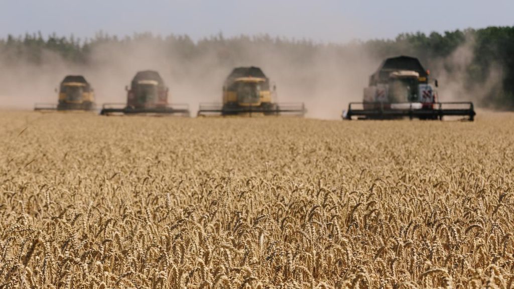 Sharp decline in food prices after the grain deal, but remains high |  Currently