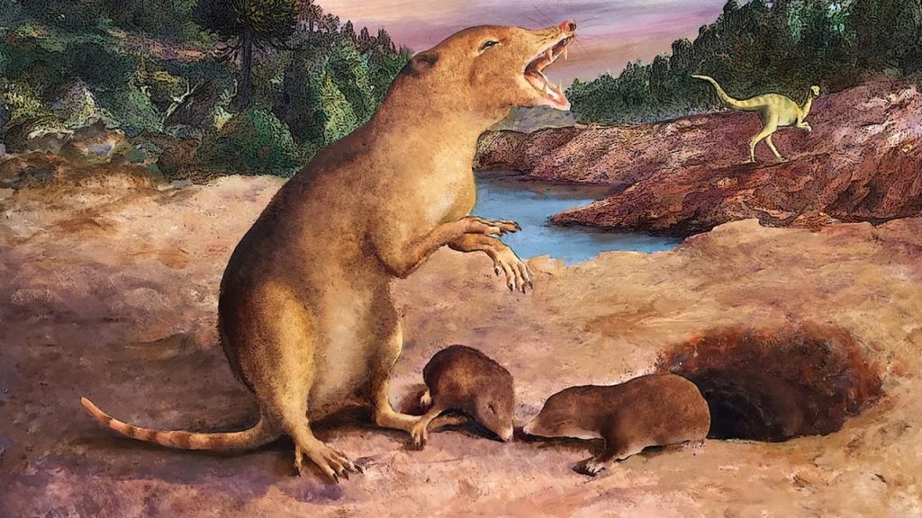Researchers have identified a 225 million-year-old animal as the oldest mammal |  Sciences