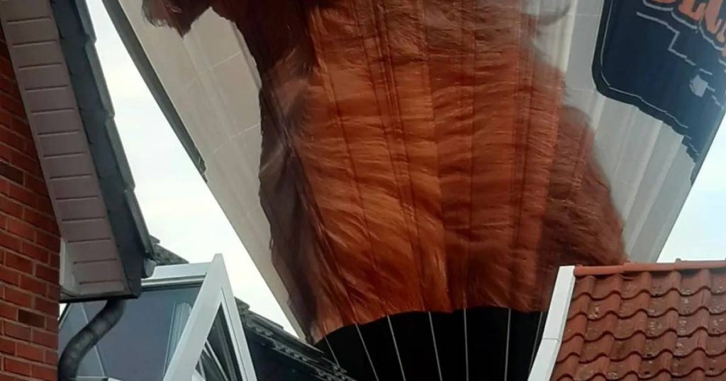 A hot air balloon barely hits the house: "Watch out, that's not okay!"  |  interior