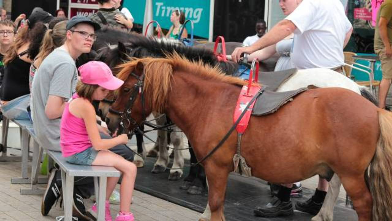 Animals are no longer welcome at the Tilburg Fair