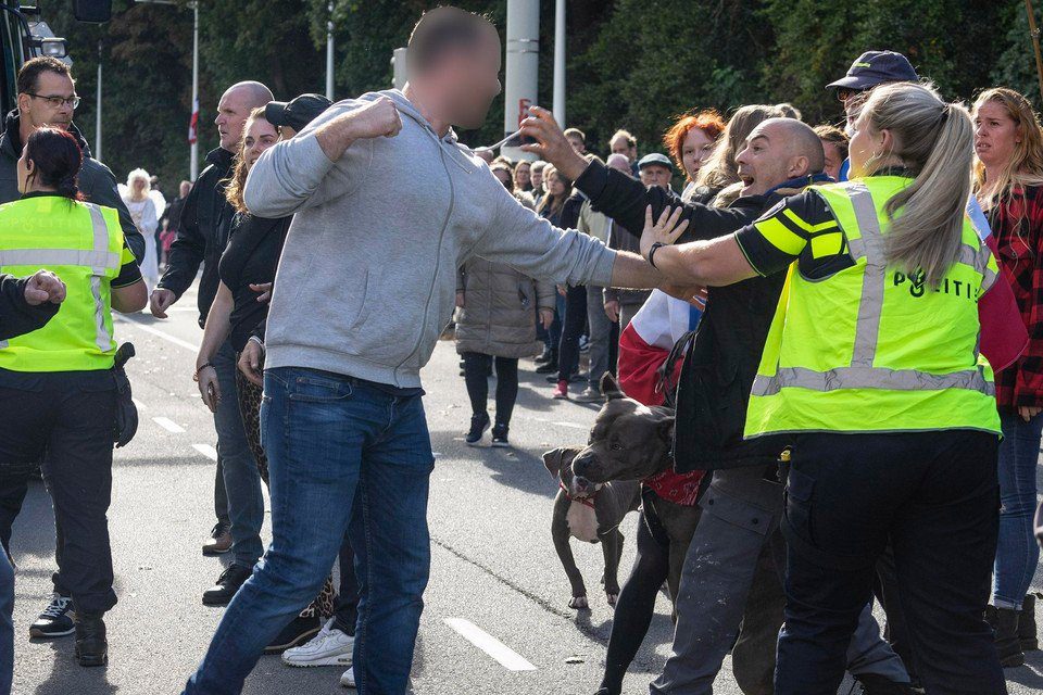 A bystander approaches the protesters menacingly as they join the melee with fighting dogs that appear to be dangerous.