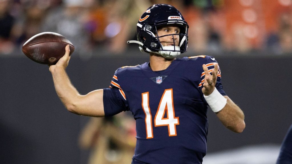 Bears starter Nathan Peterman after Trevor Siemian was injured in the warm-ups