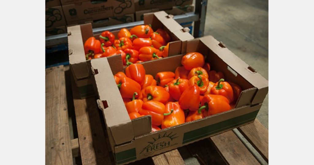 Bell peppers are again a strong influence on US supply and demand