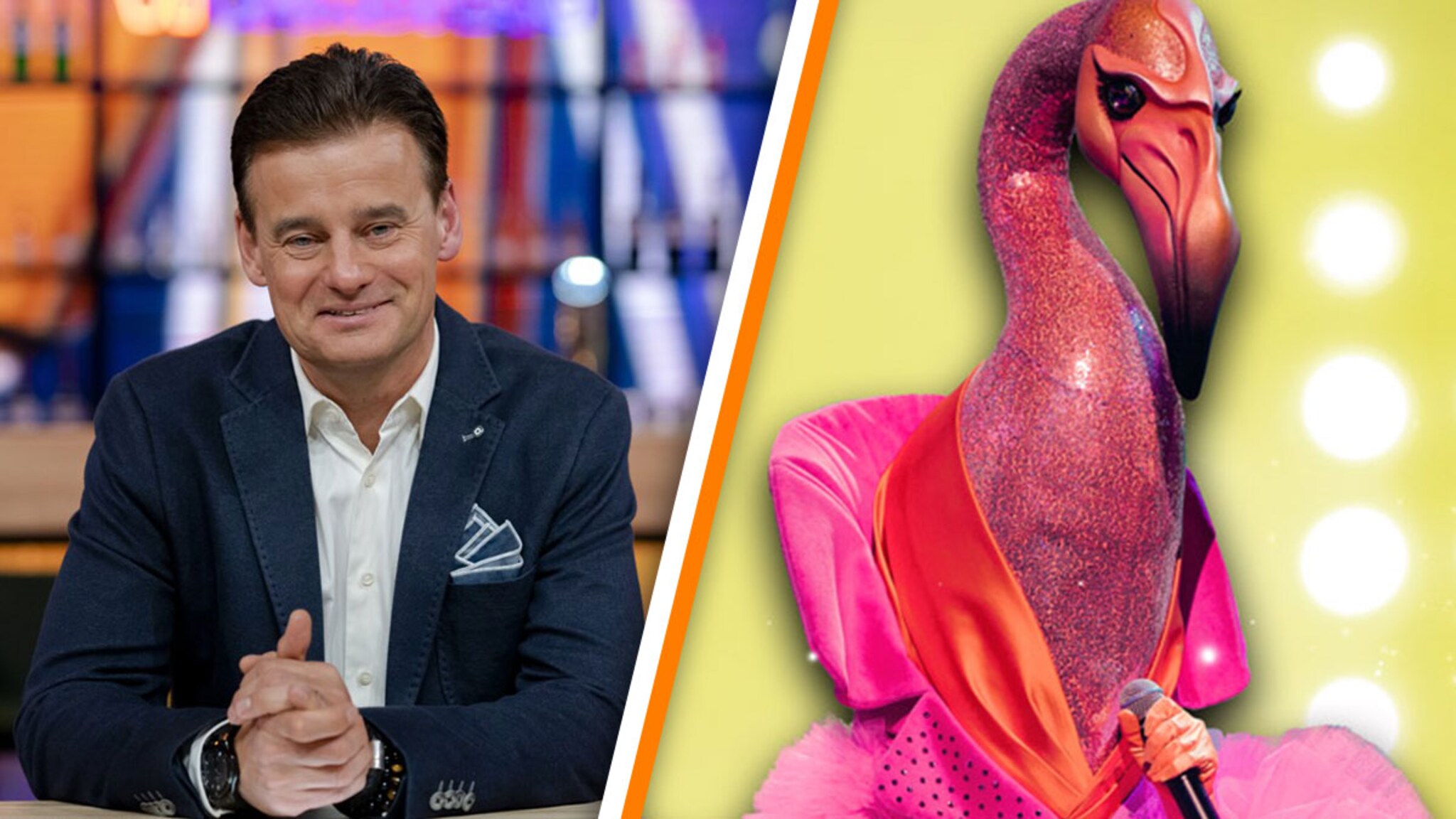 Will Wilfred Jenny consciously reveal the identity of the Flamingo from the Masked Singer?