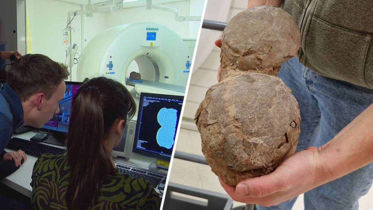 De resten van de dino-baby worden onderzocht in een CT-scanner (foto's: Noël van Hooft).