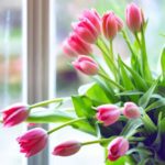 With this simple trick, you will prevent tulips from hanging