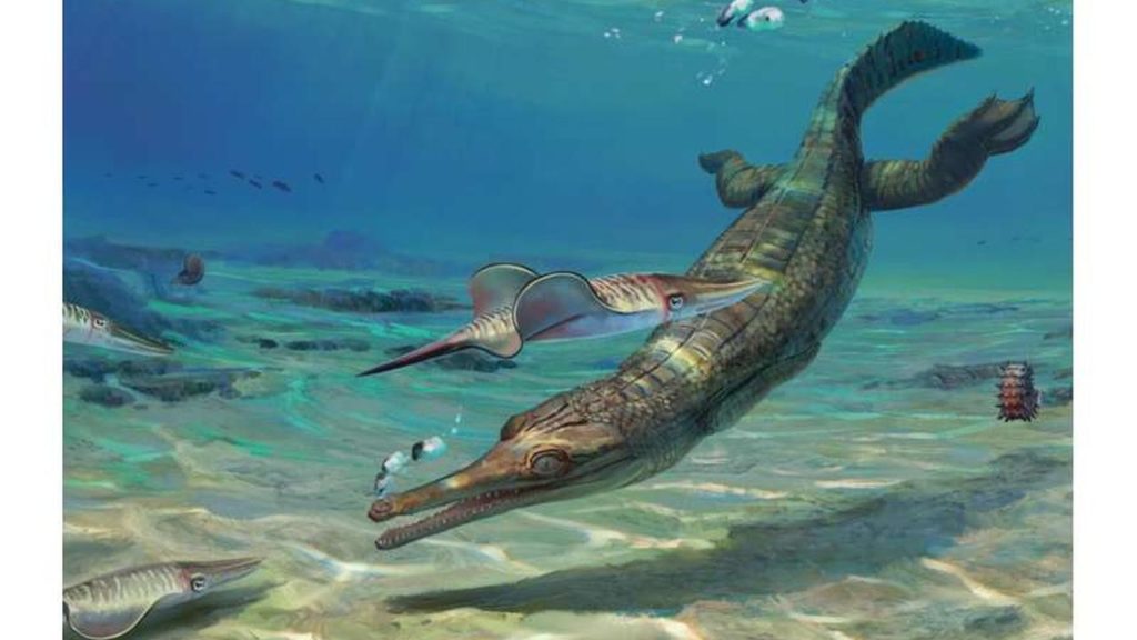 200-million-year-old fossil saltwater crocodile found on the British coast |  Sciences