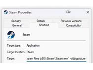 Option to launch Steam Big Picture Mode