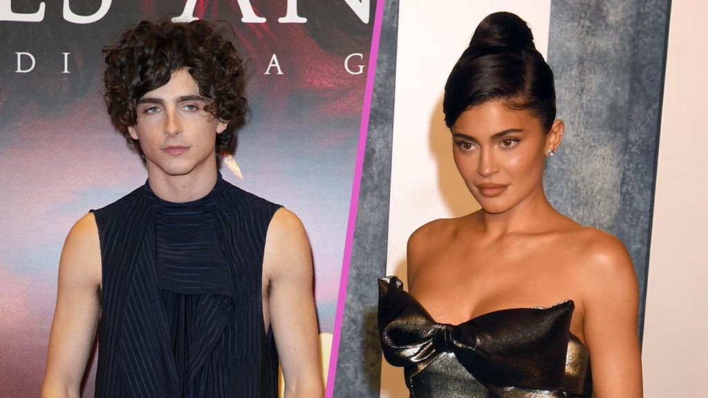 Meetings and visits: are Kylie Jenner and Timothee Chalamet a couple?  |  Backbite