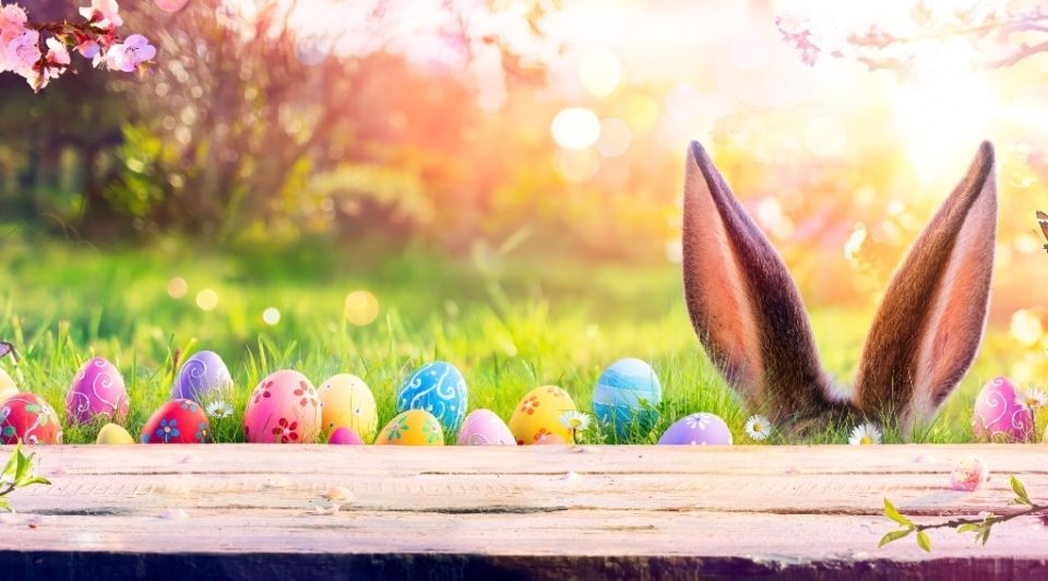 Easter eggs Easter Bunny