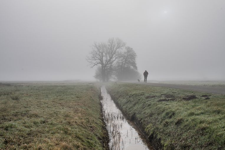 The catchment area of ​​Drentse Aa is a Natura 2000 area defined by the Netherlands itself.  Image by Harry Cook / De Volkskrant