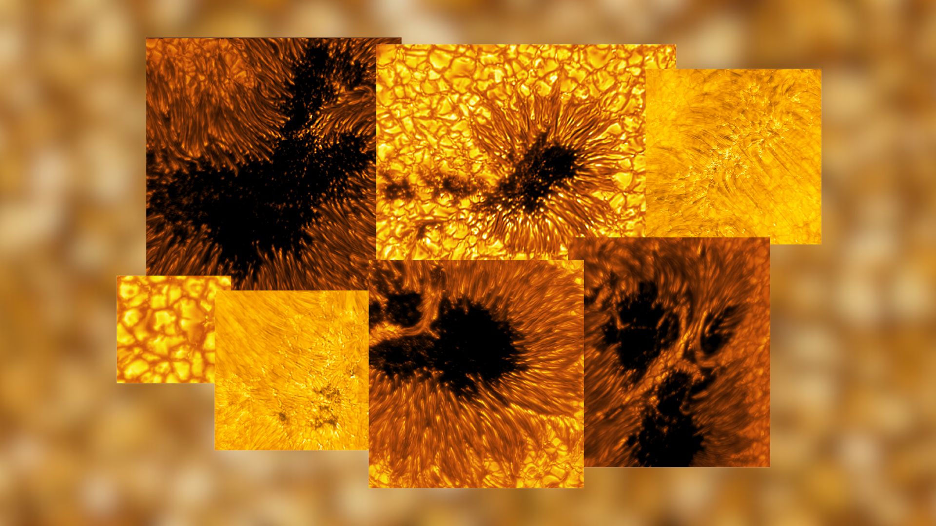 These sunspots are larger than Earth