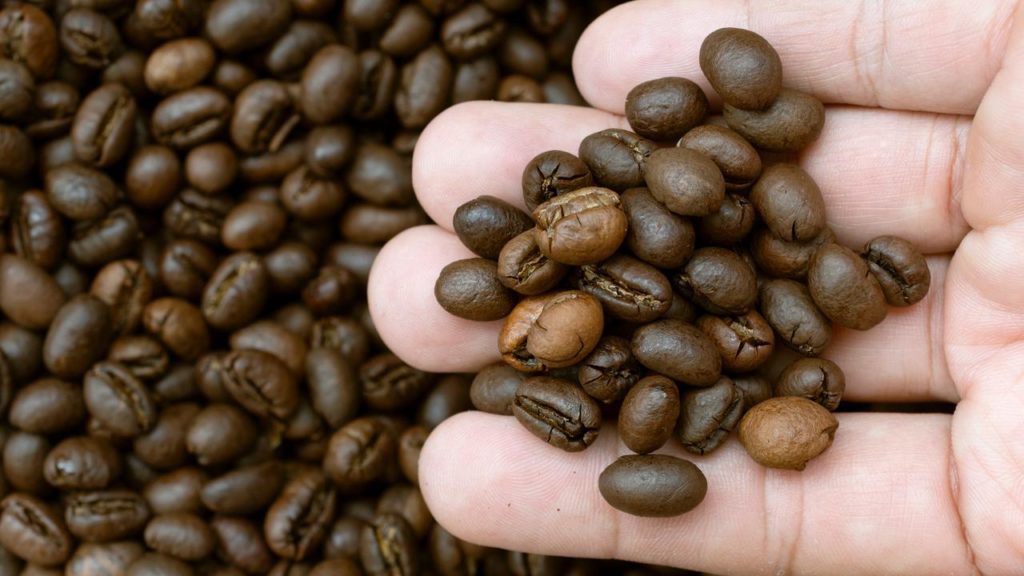 Search for an affordable cup of coffee leads to shortage of cheap beans |  Economy