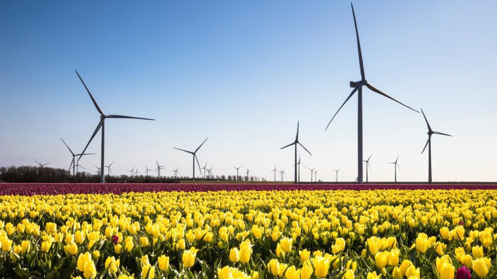 The Netherlands has (finally) met the wind energy target of the Climate Agreement |  Economy