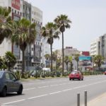 Palm trees are not favored in heating Moroccan cities