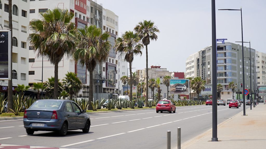 Palm trees are not favored in heating Moroccan cities