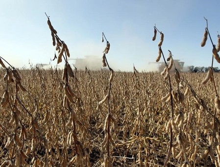 Maïs, soja hoger door zorgen over het weer in de VS, macro-economisch optimisme